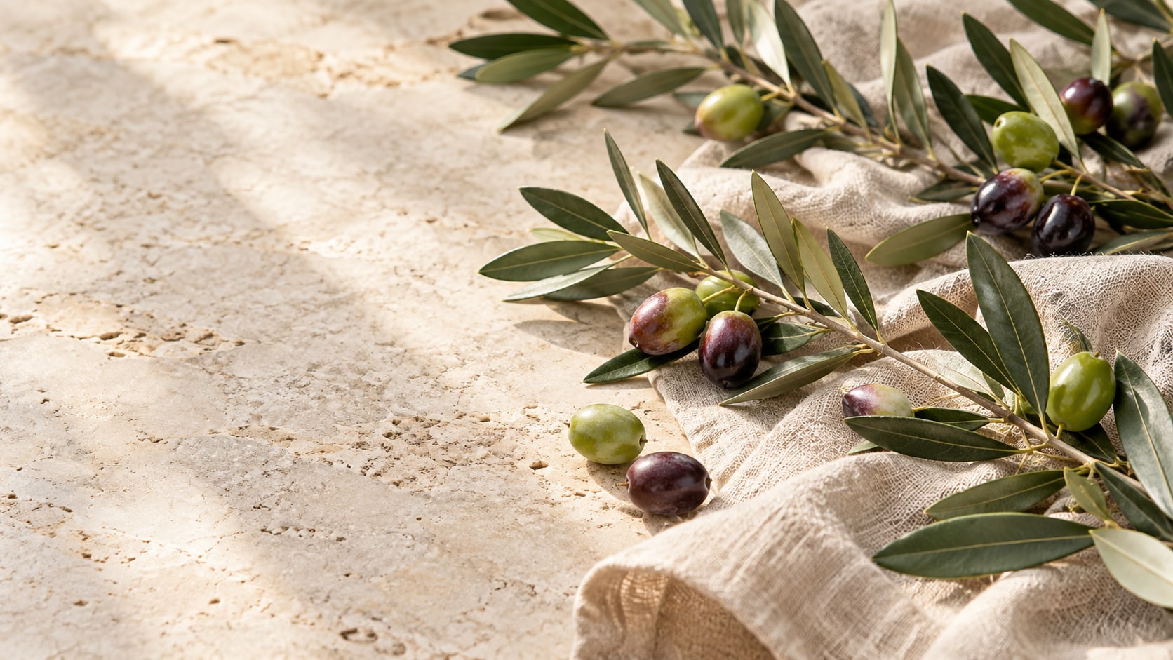 Temporary illustrative image of olive branches on linen